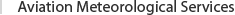 Aviation Meteorological Services