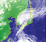 衛星画像