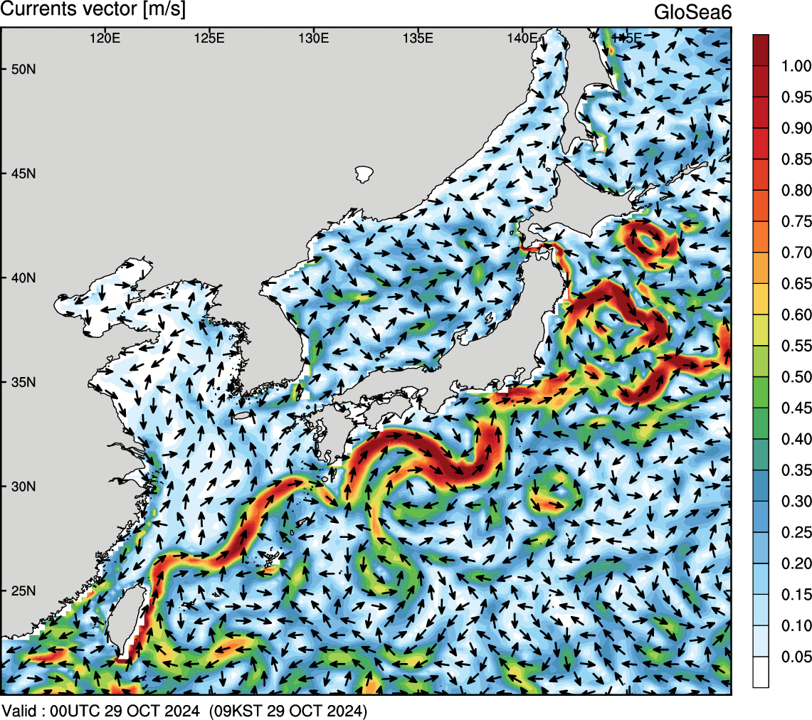 2024 10 29 09 (KST)